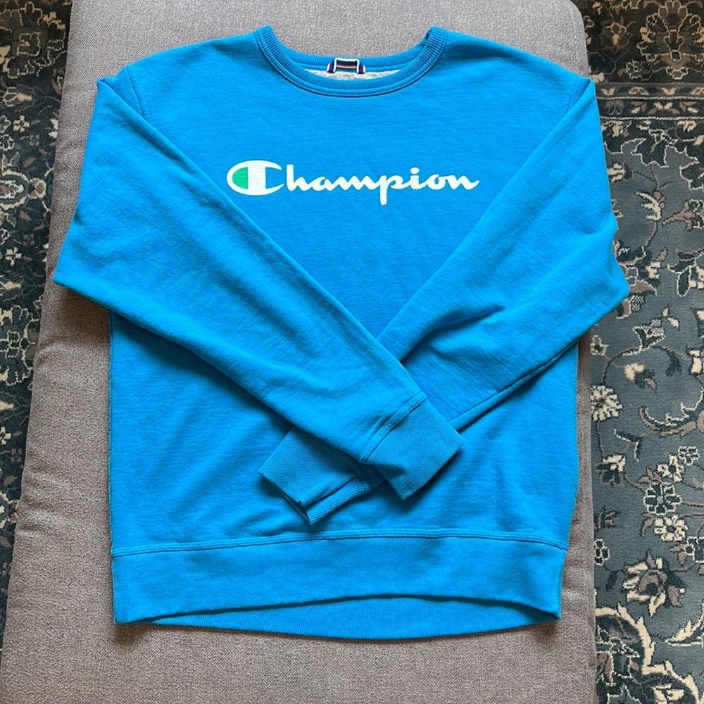 Vintage Champion Pullover Crewneck (Medium)